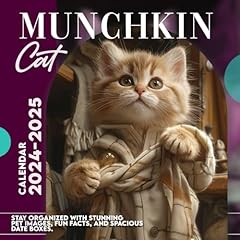 Munchkin cat calendar for sale  Delivered anywhere in USA 