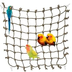 Hokable parrot climbing for sale  Delivered anywhere in USA 