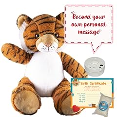Teddy tastic recordable for sale  Delivered anywhere in UK