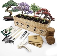 Bonsai tree kit for sale  Delivered anywhere in USA 