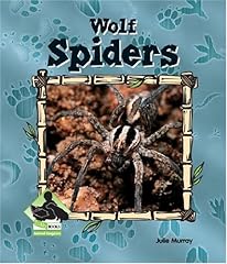Wolf spiders for sale  Delivered anywhere in UK