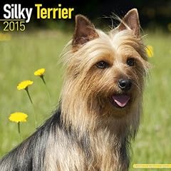 Silky terrier 2015 for sale  Delivered anywhere in UK