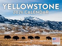 Yellowstone calendar 2026 for sale  Delivered anywhere in USA 
