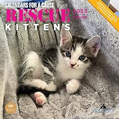 2023 rescue kittens for sale  Delivered anywhere in USA 