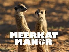 Meerkat manor for sale  Delivered anywhere in UK