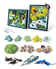 Kraftstories diy moss for sale  Delivered anywhere in USA 