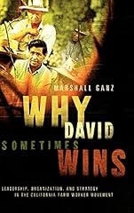 David sometimes wins for sale  Delivered anywhere in USA 