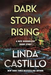 Dark storm rising for sale  Delivered anywhere in USA 