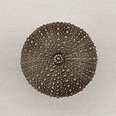 Artisan sea urchin for sale  Delivered anywhere in USA 