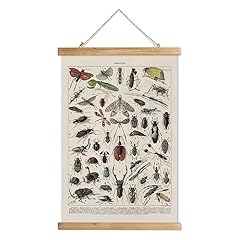 Xiaoaika vintage entomology for sale  Delivered anywhere in USA 