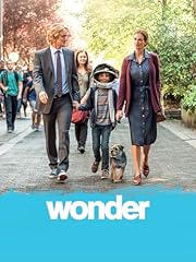 Wonder usato  Spedito ovunque in Italia 