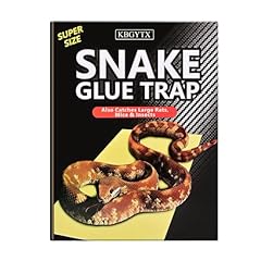 Pack large snake for sale  Delivered anywhere in USA 