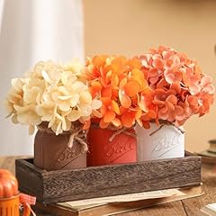 Fall mason jar for sale  Delivered anywhere in USA 
