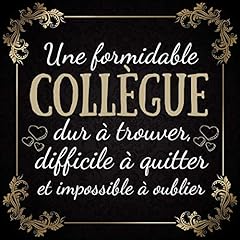 Formidable collègue livre d'occasion  Livré partout en Belgiqu