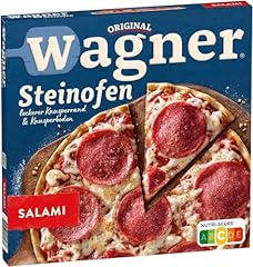 Riginal wagner steinofen gebraucht kaufen  Wird an jeden Ort in Deutschland