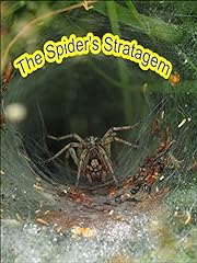 Spider stratagem for sale  Delivered anywhere in USA 
