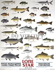 Awesome lone star for sale  Delivered anywhere in UK