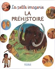 Préhistoire d'occasion  Livré partout en France