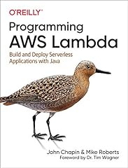 Programming aws lambda for sale  Delivered anywhere in USA 
