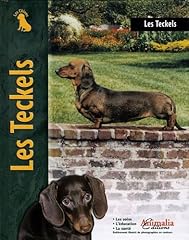 Teckels d'occasion  Livré partout en Belgiqu