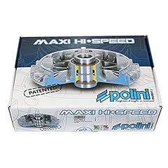 Polini variateur maxiscooter usato  Spedito ovunque in Italia 