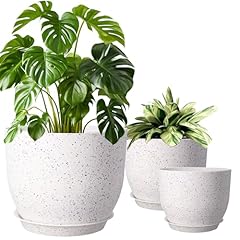 Xinhuishqz inch plant for sale  Delivered anywhere in USA 