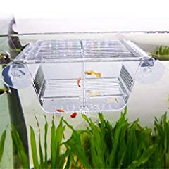 Capetsma fish breeding for sale  Delivered anywhere in UK