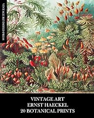 Vintage art ernst for sale  Delivered anywhere in UK