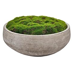 Macomine design moss for sale  Delivered anywhere in USA 