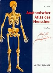Anatomischer atlas menschen gebraucht kaufen  Wird an jeden Ort in Deutschland