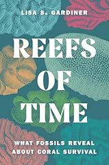 Reefs time fossils for sale  Delivered anywhere in UK