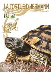 Tortue hermann testudo d'occasion  Livré partout en France