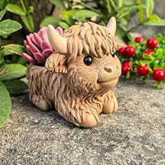 Wsmart highland cow for sale  Delivered anywhere in USA 