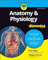 Anatomy physiology dummies for sale  Delivered anywhere in UK