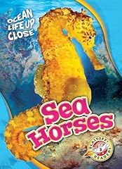 Sea horses for sale  Delivered anywhere in USA 