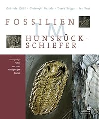Fossilien hunsrück schiefer gebraucht kaufen  Wird an jeden Ort in Deutschland