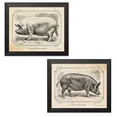 Black white pig for sale  Delivered anywhere in USA 