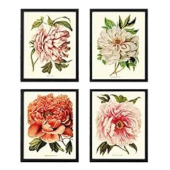 Botanical set prints for sale  Delivered anywhere in USA 