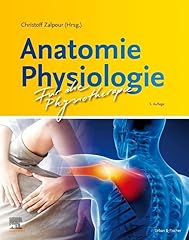 Anatomie physiologie physiothe gebraucht kaufen  Wird an jeden Ort in Deutschland