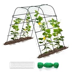 Idea family cucumber for sale  Delivered anywhere in USA 