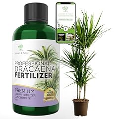 Professional liquid dracaena for sale  Delivered anywhere in USA 