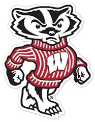 Wisconsin badgers ncaa for sale  Delivered anywhere in USA 