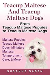 Teacup maltese teacup for sale  Delivered anywhere in USA 