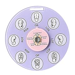 Spansee midwife fetal for sale  Delivered anywhere in USA 
