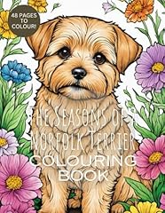 Seasons norfolk terrier for sale  Delivered anywhere in UK