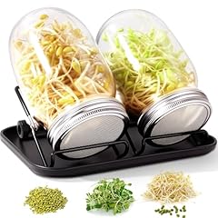 Foiiliio sprossenglas keimglas gebraucht kaufen  Wird an jeden Ort in Deutschland