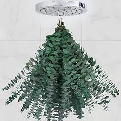 30pcs eucalyptus shower for sale  Delivered anywhere in USA 