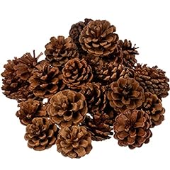 Cinnamon scented pinecones for sale  Delivered anywhere in USA 