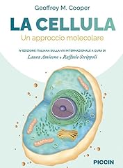 Cellula. approccio molecolare usato  Spedito ovunque in Italia 