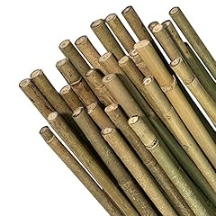 Mayo strong bamboo for sale  Delivered anywhere in UK